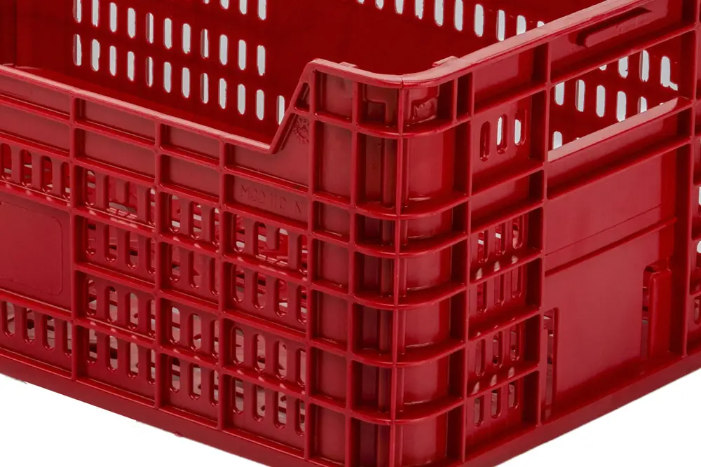 Cajas Cítricos Y Caqui 11C detalle 1 Cajas Cítricos Y Caqui 11C detalle 1