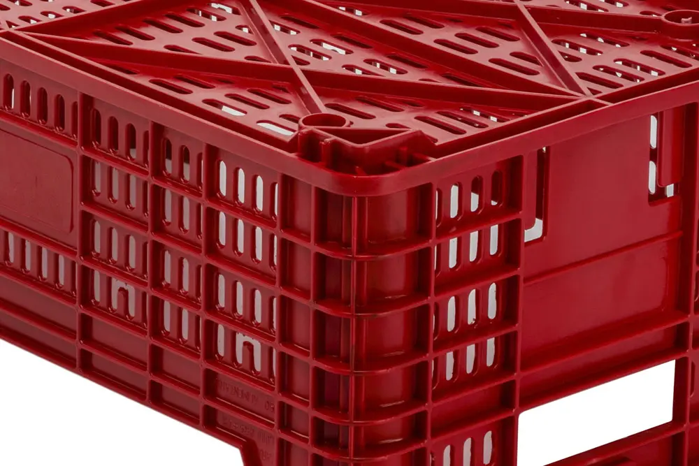 Cajas Cítricos Y Caqui 11C detalle 2 Cajas Cítricos Y Caqui 11C detalle 2