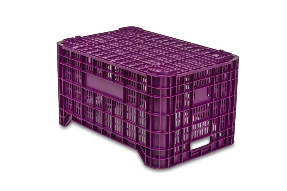12C 2 Cajas Verduras JC 12C 2