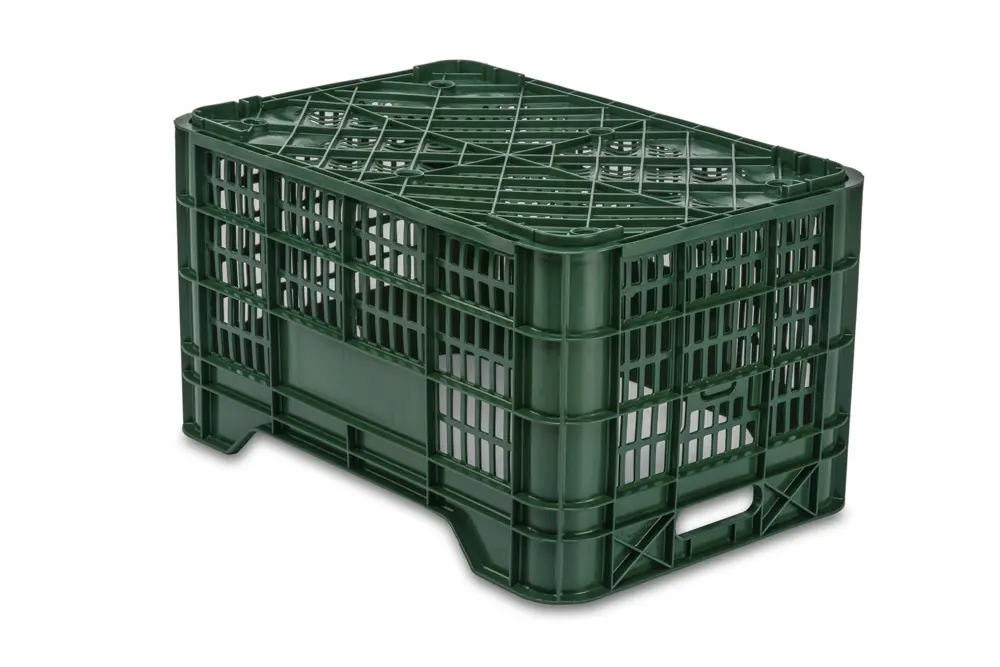 20C 2 Cajas Verduras 20C 2