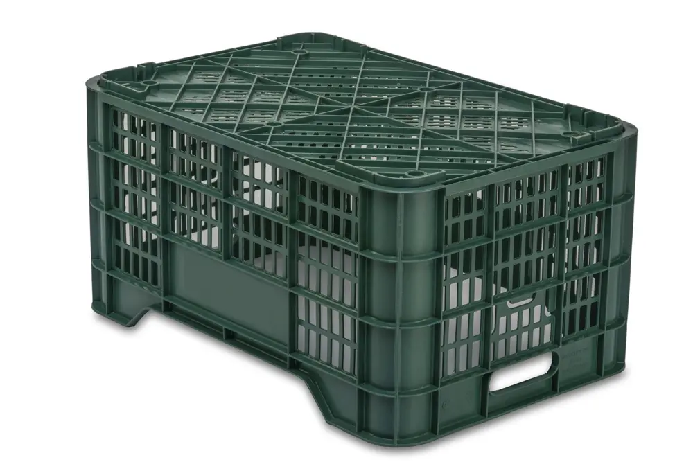 21C 2 Cajas Verduras 21C 2