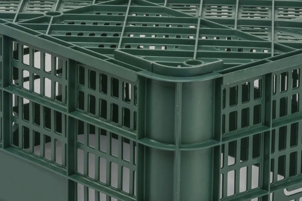 21C detalle 2 Cajas Verduras 21C 1