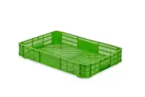 Caja De Frutos Rojos Y Tropicales 