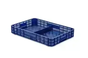 Caja De Frutos Rojos Y Tropicales 29C-CS-1