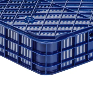Caja De Frutos Rojos Y Tropicales ZC