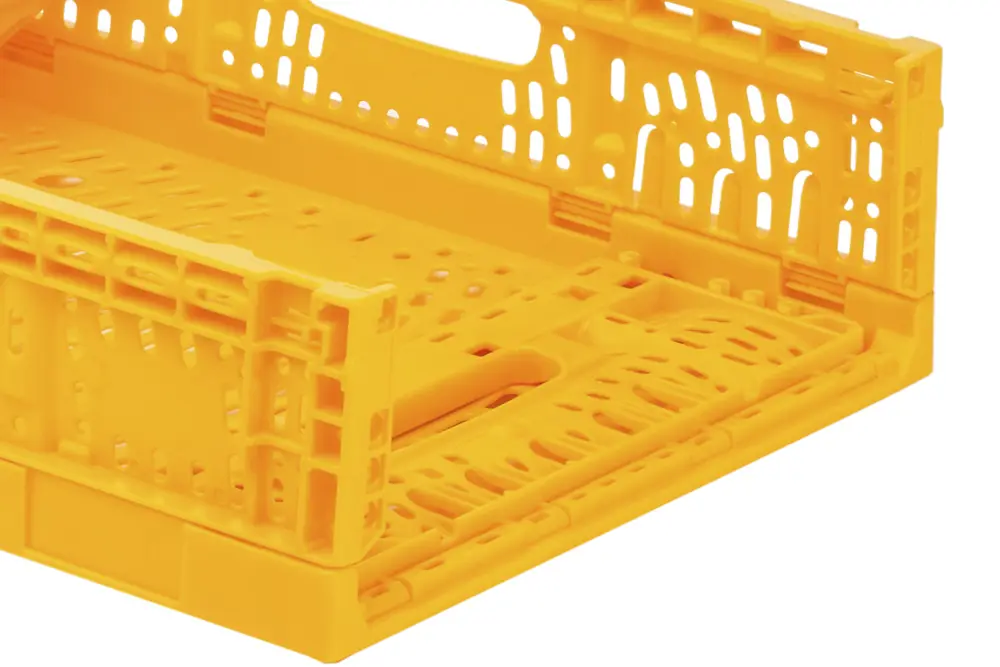 4310 detalle 2 Cajas Plegables PLS 4316 1