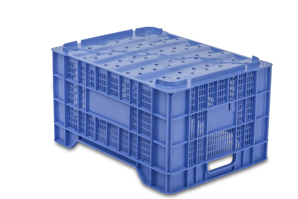 BC.FO 2 Cajas Recolección BC.FO 2
