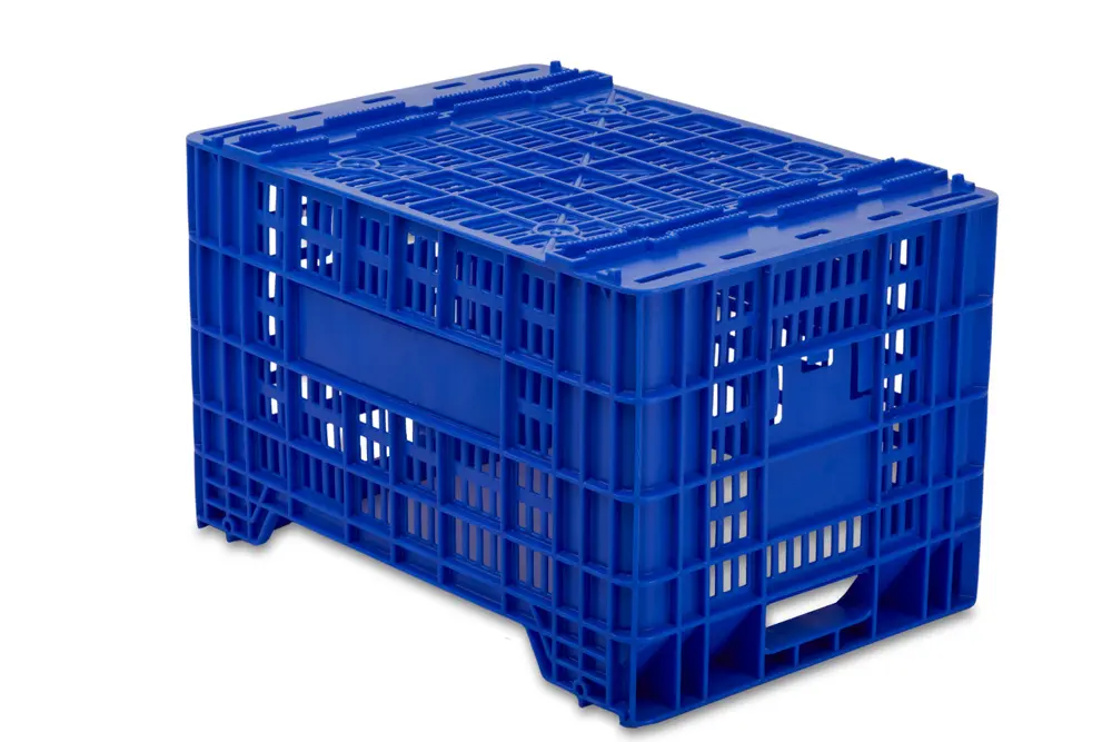 Cajas Cítricos Y Caqui MC6 2 Cajas Cítricos Y Caqui MC6 2