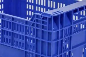 Cajas Cítricos Y Caqui MC6 detalle 1