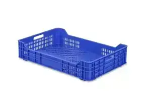 Caja De Frutos Rojos Y Tropicales
