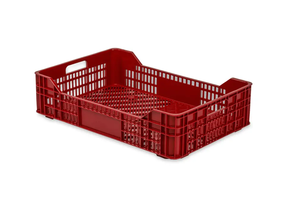 ZC.1 A 1 Cajas Frutos Rojos Y Tropicales ZC.1 A 1