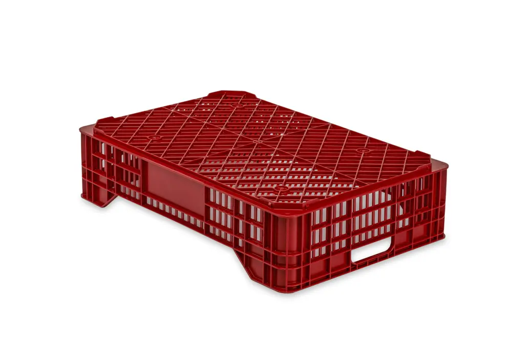 ZC.1 A 2 Cajas Frutos Rojos Y Tropicales ZC.1 A 2
