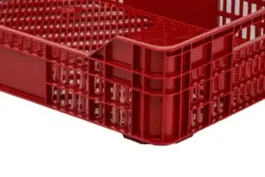 Cajas Frutos Rojos Y Tropicales ZC.1 A Detalle 1