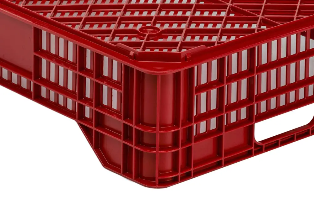 ZC.1 A detalle 2 Cajas Frutos Rojos Y Tropicales ZC.1A
