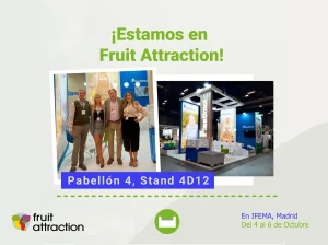 Fruit