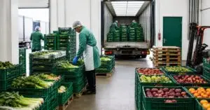 normativa transporte hortalizas frescas